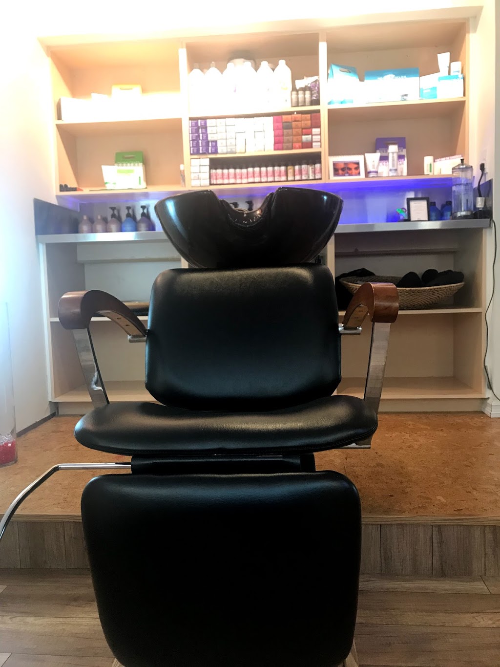 Kaleidoscope Hair Company | 1684 33B St NW, Edmonton, AB T6T 0P2, Canada | Phone: (780) 916-8176