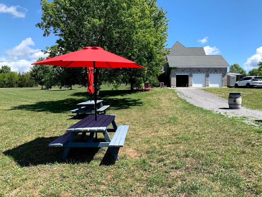 Gravel Hill Vineyards | 2J0, 567 Closson Rd, Hillier, ON K0K 2J0, Canada | Phone: (613) 399-1857