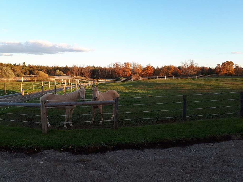 Levanna Lane Stables | 2622 30 Side Rd, Campbellville, ON L0P 1B0, Canada | Phone: (289) 772-7758