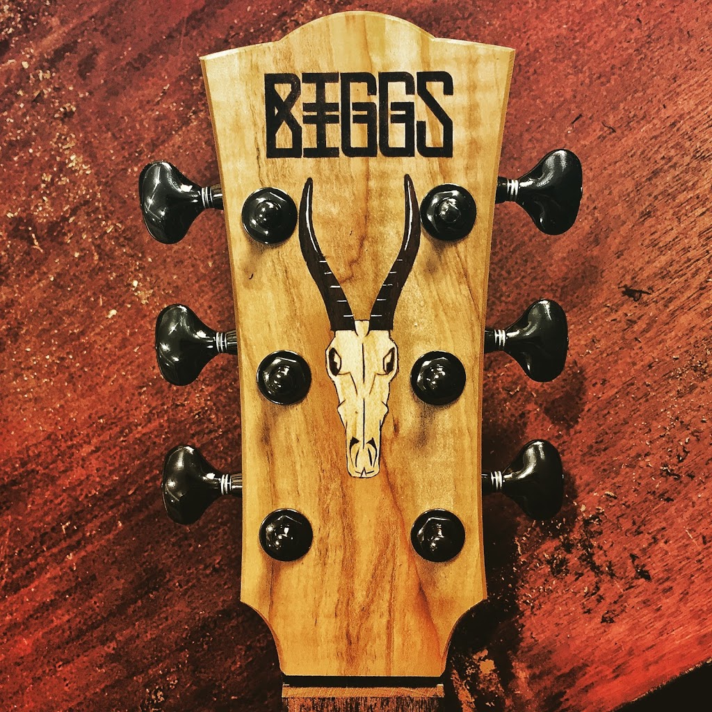 Biggs Guitars | 259 Esquimalt Rd, Victoria, BC V9A 7A8, Canada | Phone: (778) 678-0352