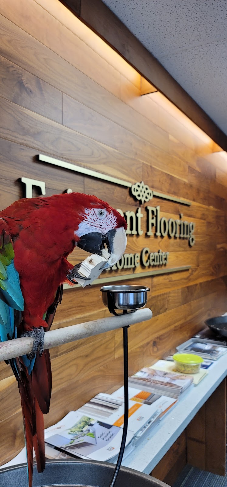 Fairmont Flooring Home Center | 1650 Dundas St E, Whitby, ON L1N 2K8, Canada | Phone: (905) 725-7171