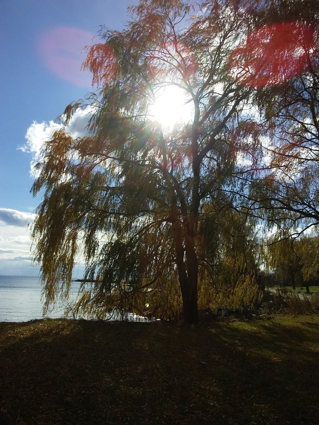 J.C. Saddington Park | 53 Lake St, Mississauga, ON L5B 3Y3, Canada | Phone: (905) 615-4100
