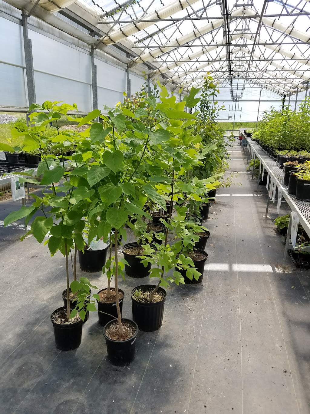 Kayanase - Ecological Restoration And Ecotourism | 993 1M0, Brant County Hwy 54, Ohsweken, ON N0A 1M0, Canada | Phone: (519) 770-0013
