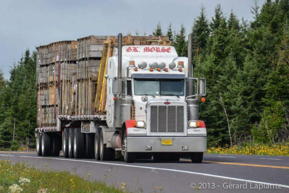 G K Morse Trucking Ltd | 226 Ira Bill Rd, Centreville, NS B0P 1J0, Canada | Phone: (902) 678-3902