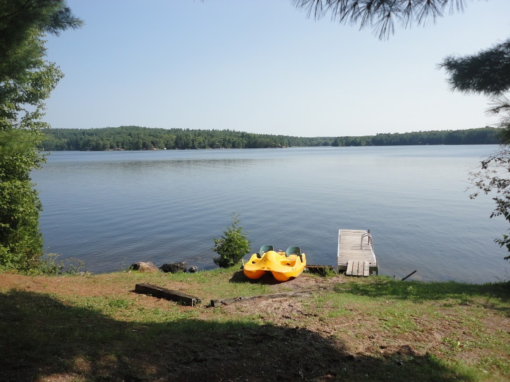 Mazinaw Lakeside Resort and Eatery | 17370 ON-41, Cloyne, ON K0H 1K0, Canada | Phone: (613) 900-9749