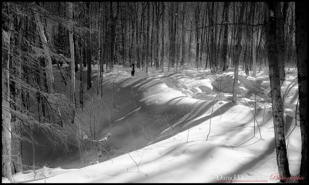 Aire écologique du ruisseau Lachapelle | 215 Boulevard des Estacades, Trois-Rivières, QC G8W 1P5, Canada