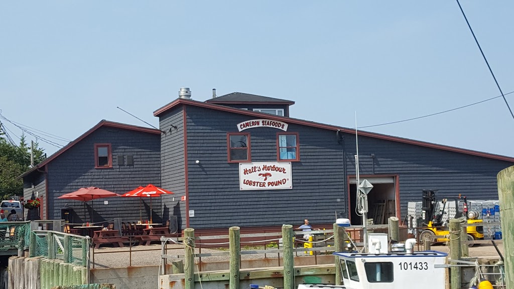 Halls Harbour Lobster Pound | 1157 W Halls Harbour Rd, Centreville, NS B0P 1J0, Canada | Phone: (902) 679-5299