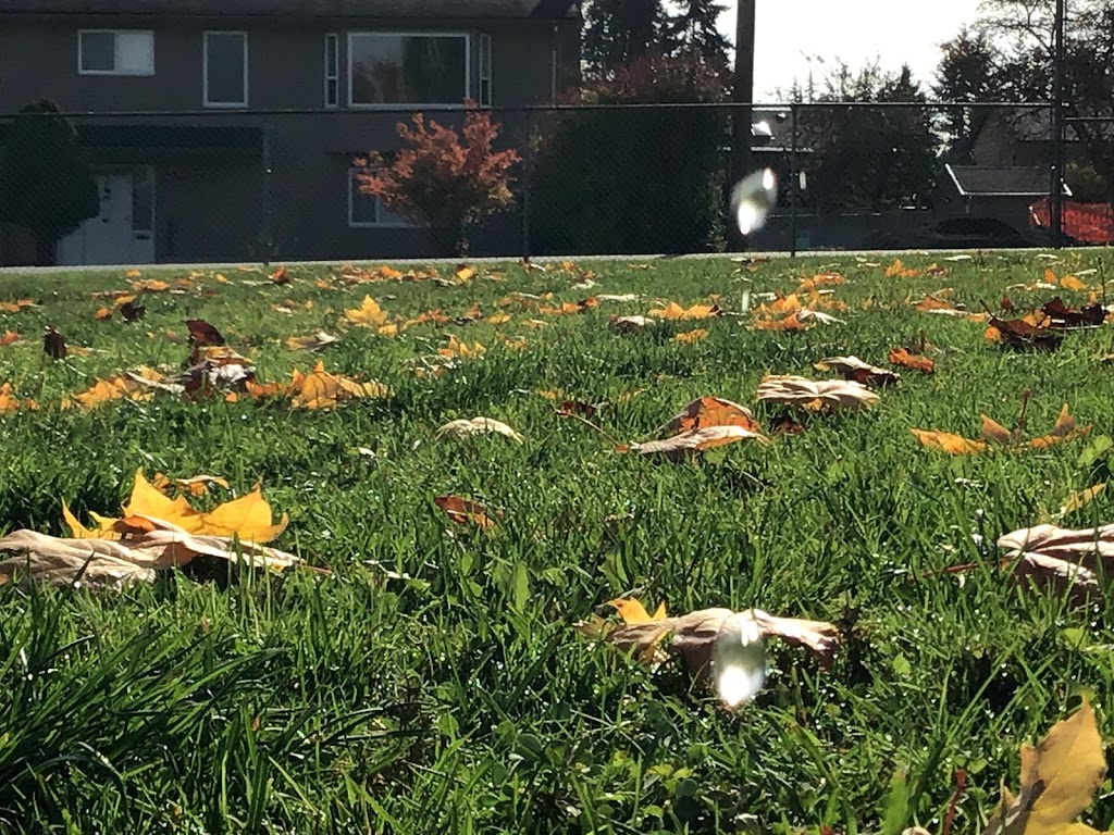 T E Scott Elementary School | 7079 148 St, Surrey, BC V3S 3E5, Canada | Phone: (604) 596-0357