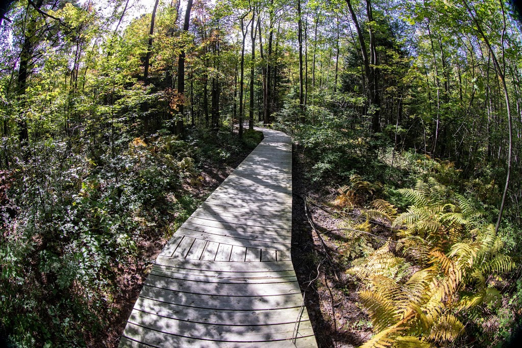 Boisé du Plan Bouchard | Plan-Bouchard, Blainville, QC J0N 1H0, Canada