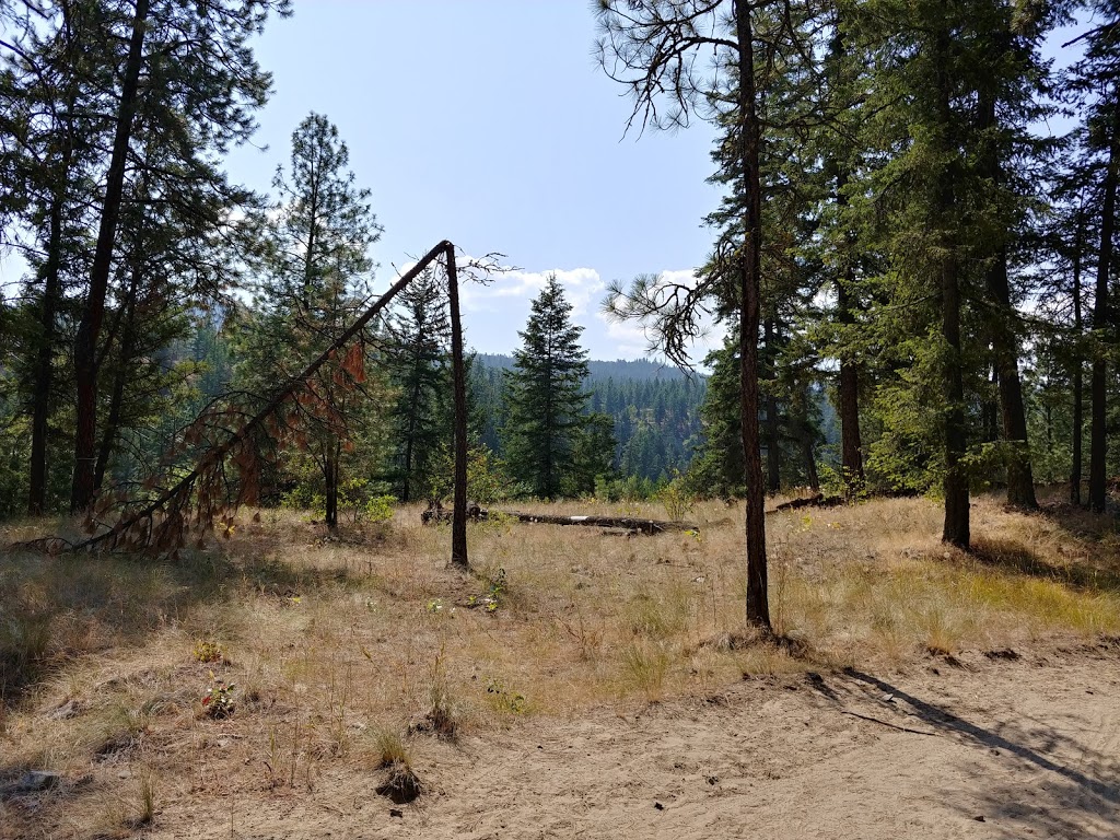 Scenic Canyon Regional Park | 3980-4028 Field Rd, Kelowna, BC V1W 3Z8, Canada | Phone: (250) 763-4918