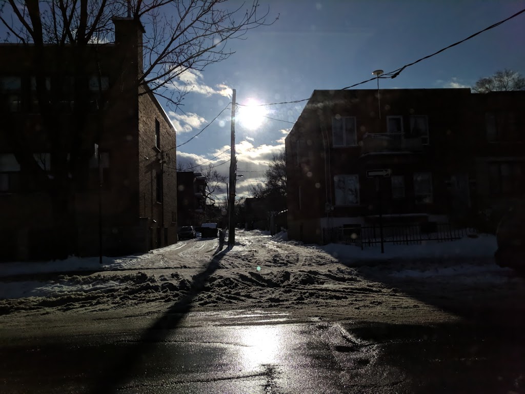 Parc Théodore | 2523 Rue Théodore, Montréal, QC H1V 3C7, Canada | Phone: (514) 252-4219