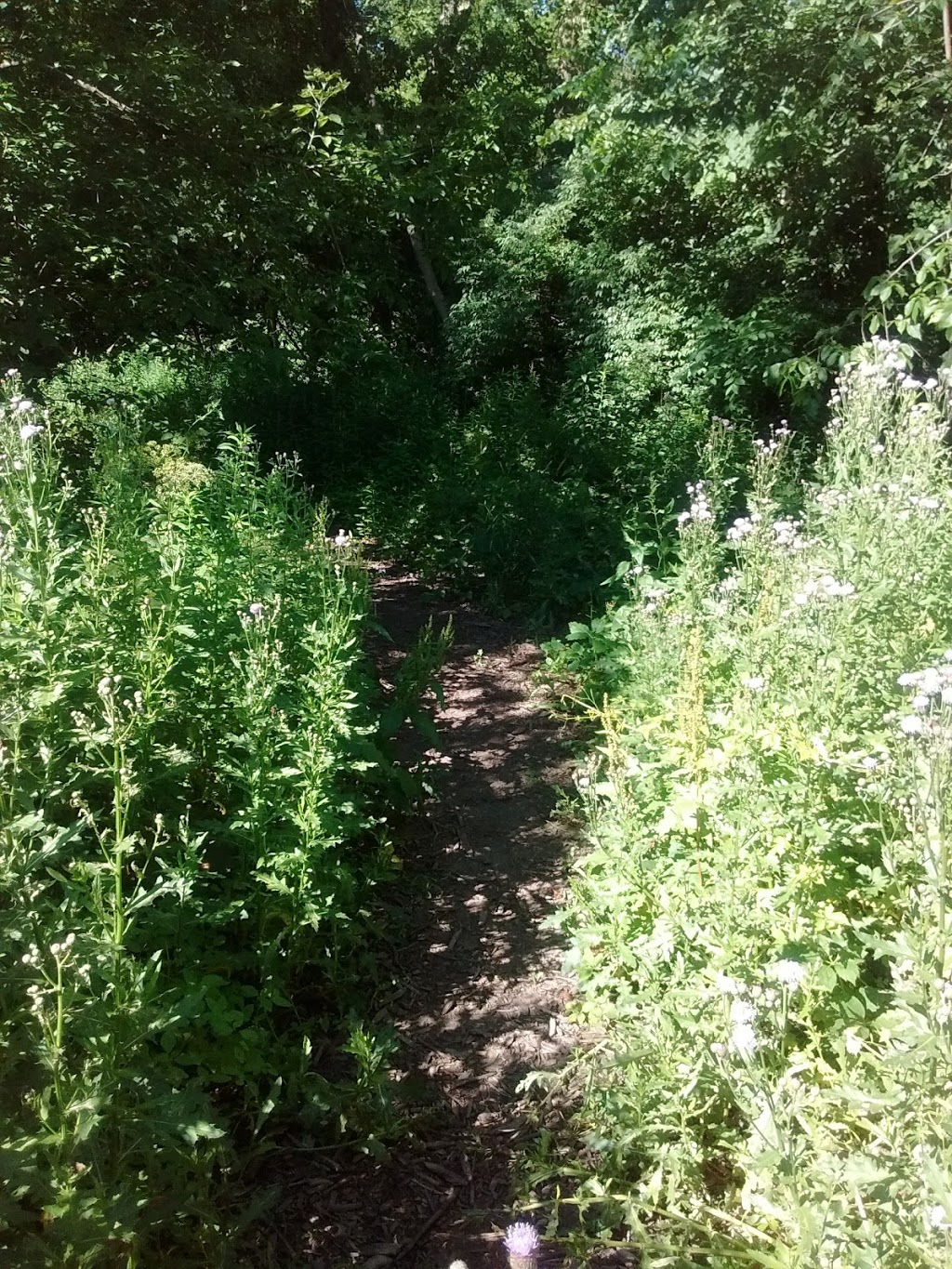 St Clair Hiking Trail rest area | St Clair, MI 48079, USA