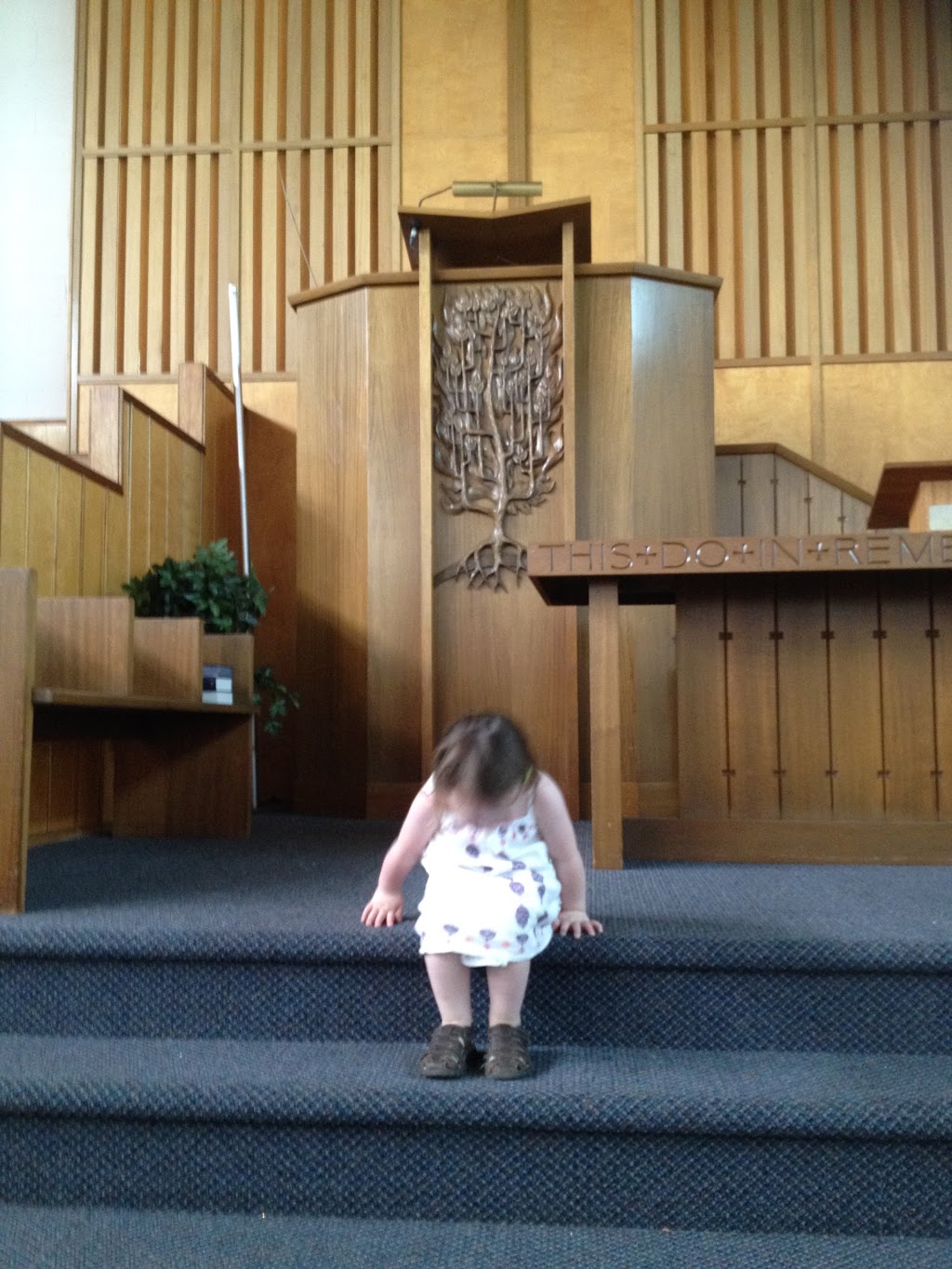 St Andrews Presbyterian Church | 8715 118 Ave NW, Edmonton, AB T5B 0T2, Canada | Phone: (780) 477-8677