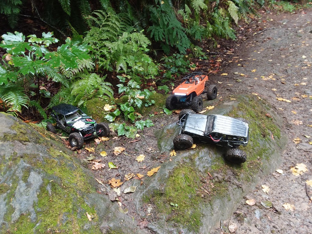 Chuckanut Mountain / Pine & Cedar Lakes County Park | Pine and Cedar Lakes Trail, Bellingham, WA 98229, USA | Phone: (360) 733-2900