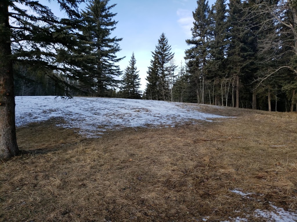 Fisher Creek Campground | 21202-21324 McLean Creek Trail, Bragg Creek, AB T0L 0K0, Canada