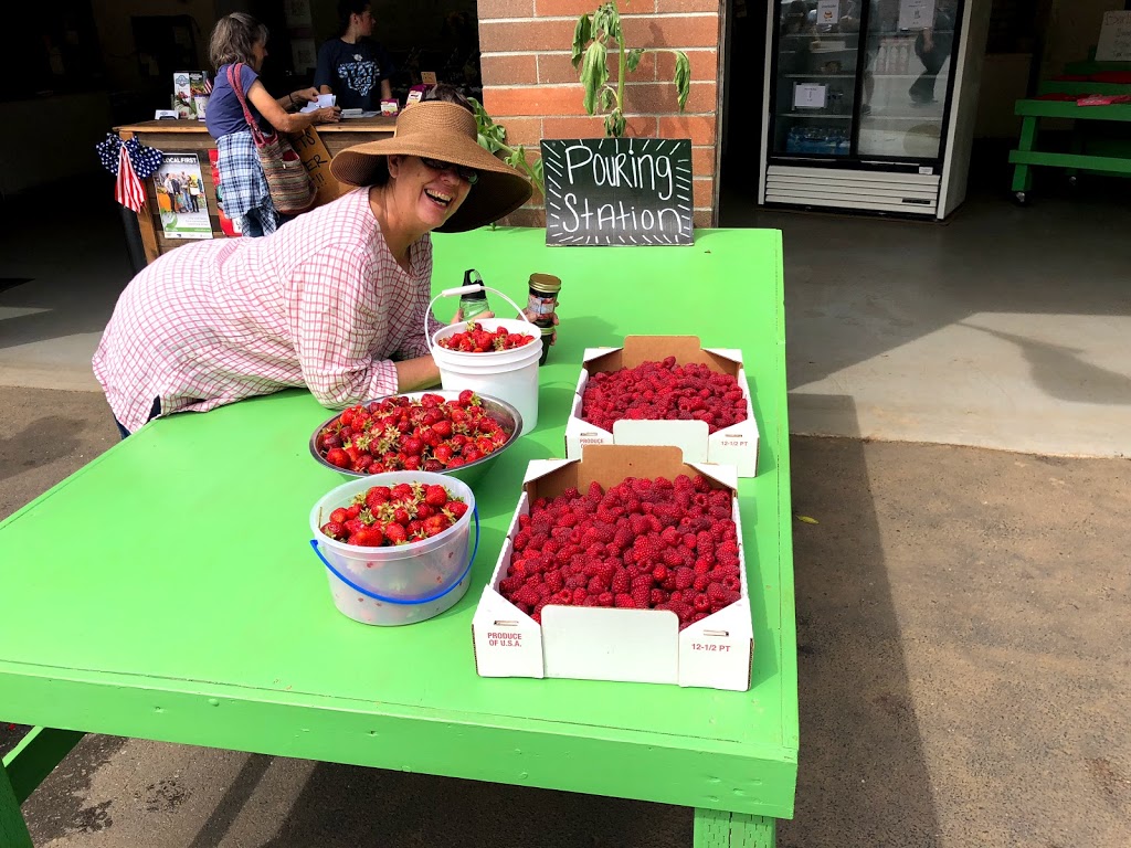 Barbies Berries Seasonal Berry Stand | 7720, 7655 Melody Ln, Ferndale, WA 98248, USA | Phone: (360) 384-1260