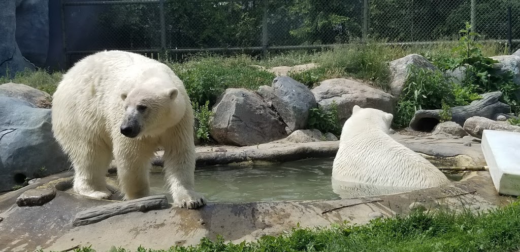Toronto Zoo Foundation | 361A Old Finch Ave, Scarborough, ON M1B 5K7, Canada | Phone: (416) 392-9113