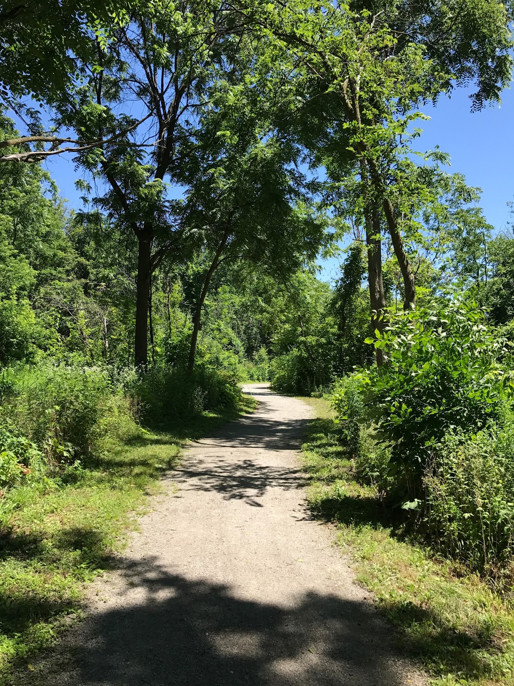 Levis Valley Park | 1575 Westbridge Way, Mississauga, ON L5N 7S9, Canada
