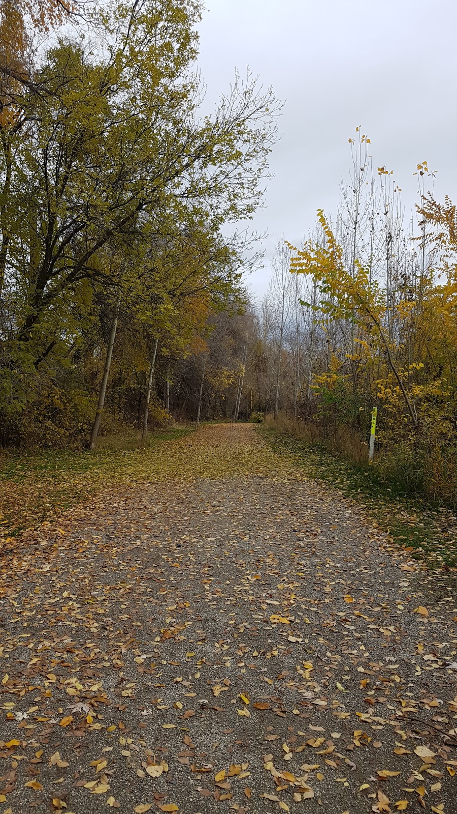 Mill Creek Linear Park | Central City, Kelowna, BC V1Y, Canada