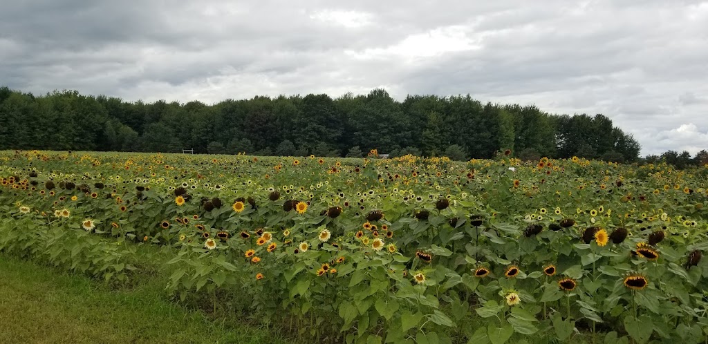Jardin chez Julie et Lova | 75 QC-201, Coteau-du-Lac, QC J0P 1B0, Canada | Phone: (450) 802-8005