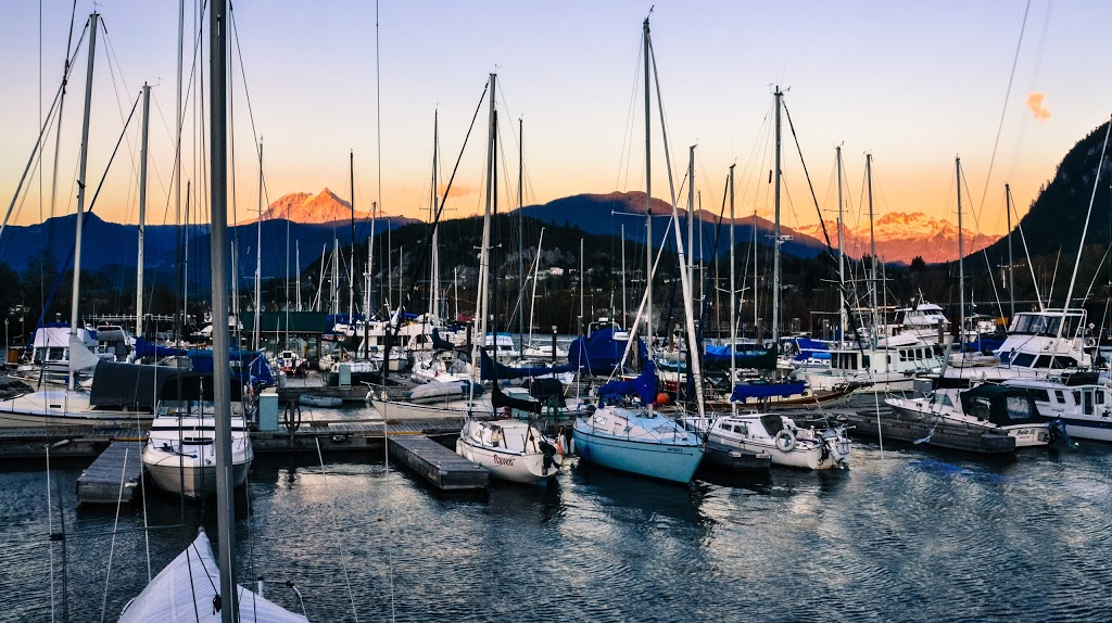 Steve De Wolf | 1900 Garibaldi Way #3, Garibaldi Highlands, BC V0N 1T0, Canada | Phone: (604) 389-9653