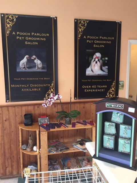 A Pooch Parlour Pet Groomers | 451 Windmill Rd, Dartmouth, NS B3A 1J9, Canada | Phone: (902) 463-5959