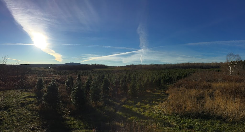 Produits Agricoles Famille Ouellette | 75 Rang 2 de Gravel, Ferme-Neuve, QC J0W 1C0, Canada | Phone: (819) 587-4013