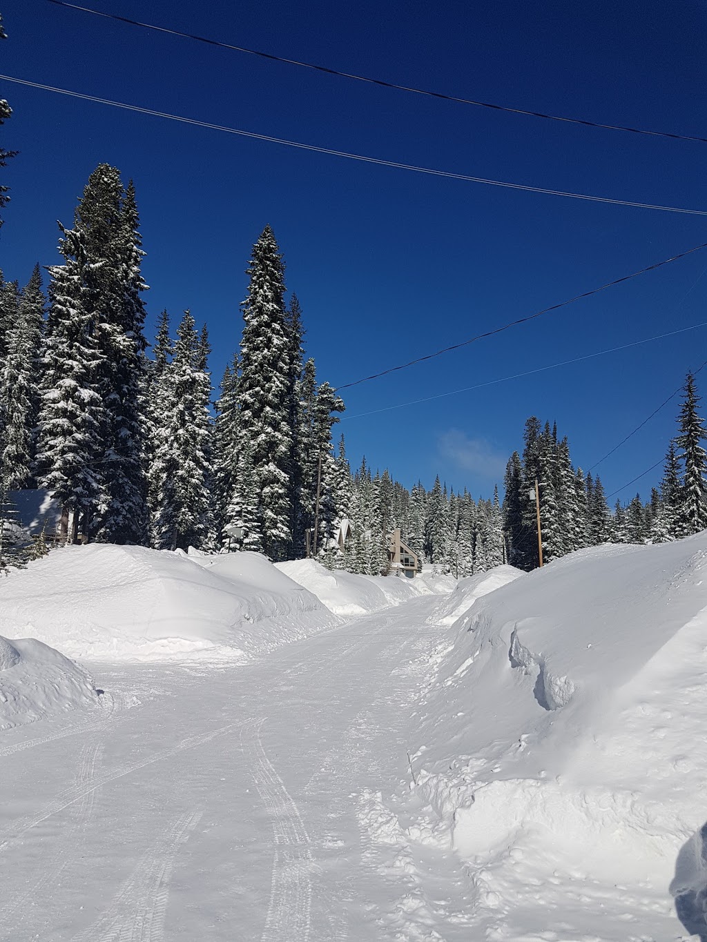 Apex Whitetail Chalet Vacation Condo Rentals | 131 Whitetail Rd, Apex Mountain, BC V2A 8L8, Canada | Phone: (250) 460-0975