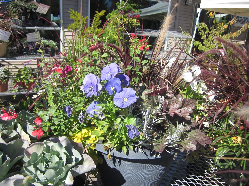 Tri-Star Nurseries & Landscape Supplies Ltd. | 5047 184 St, Surrey, BC V3X 1B5, Canada | Phone: (604) 576-6732