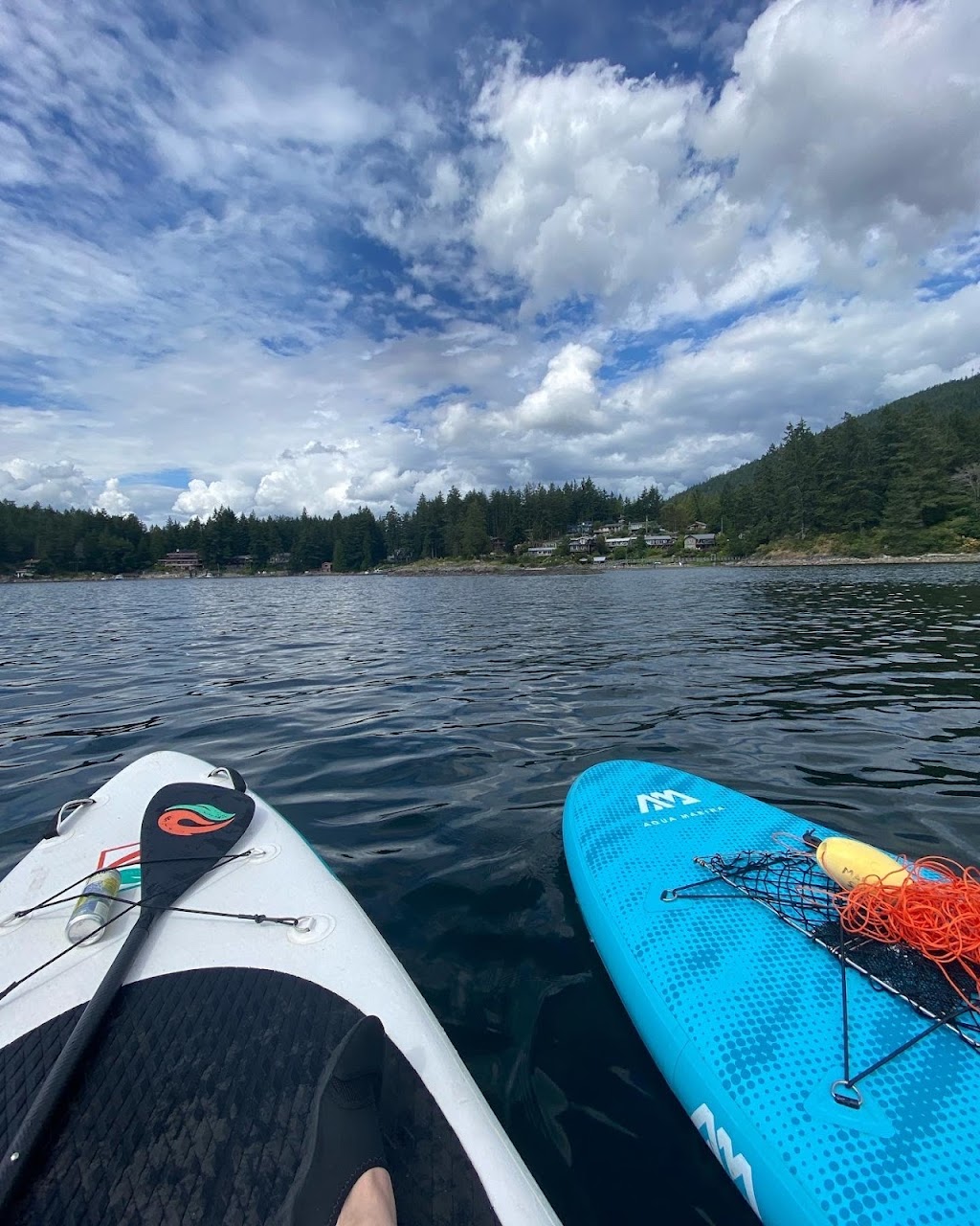 Palli Palli Mobile Ebike & Paddle Board Rentals | Powell River | 6841 Fairmont St, Powell River, BC V8A 1K2, Canada | Phone: (604) 223-7284