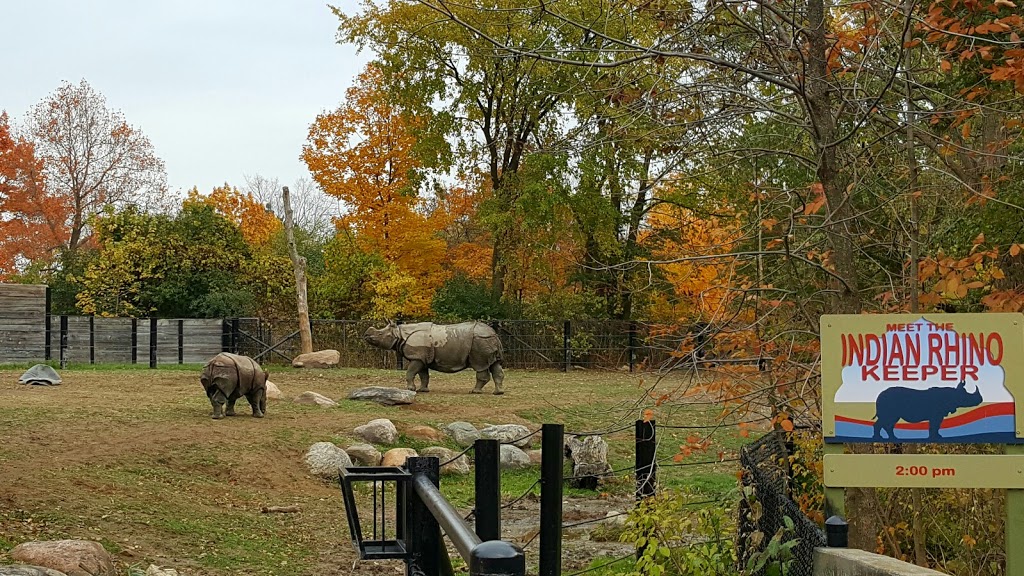 Indian Rhinoceros Pavilion | 2000 Meadowvale Rd, Scarborough, ON M1B 5K7, Canada | Phone: (416) 392-5929