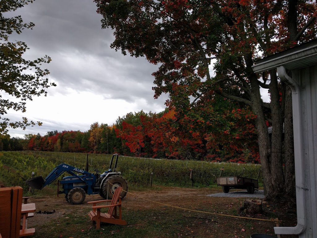 Vignoble les Pervenches | 150 Chemin Boulais, Farnham, QC J2N 2P9, Canada | Phone: (450) 293-8311