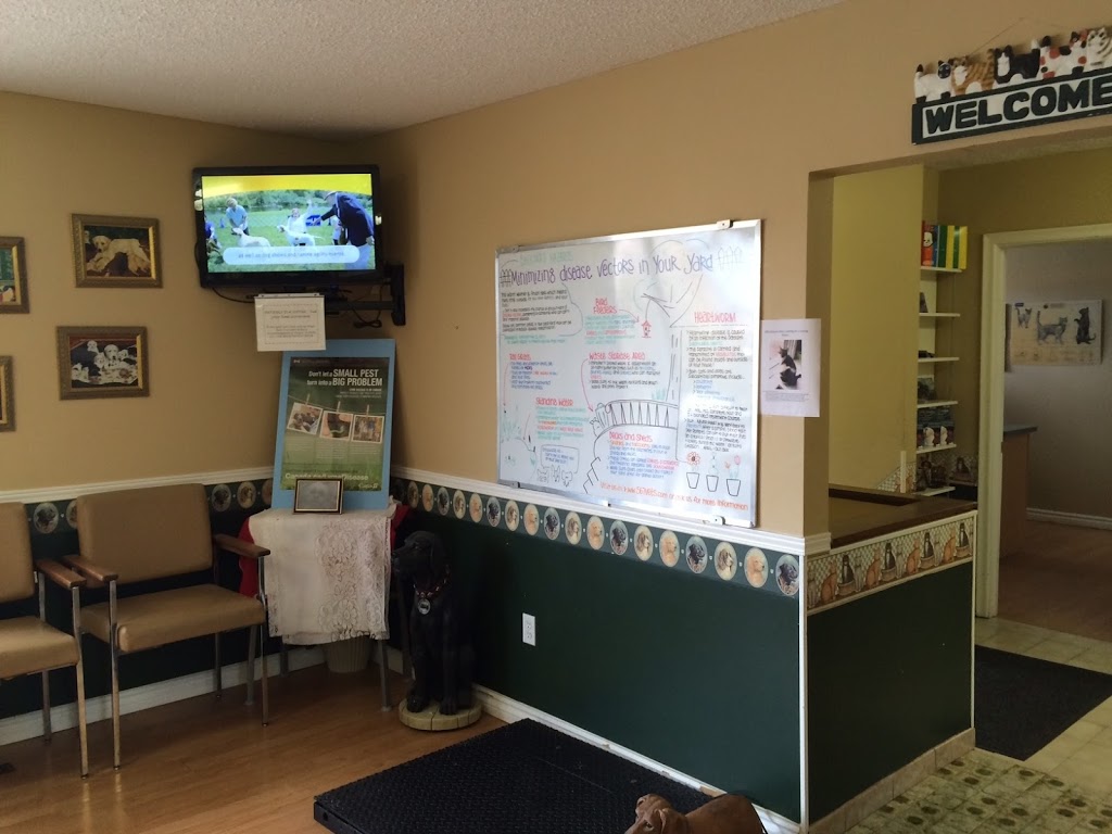 Creditview Animal & Bird Hospital | 5330 Creditview Rd, Mississauga, ON L5M 5N5, Canada | Phone: (905) 567-8387