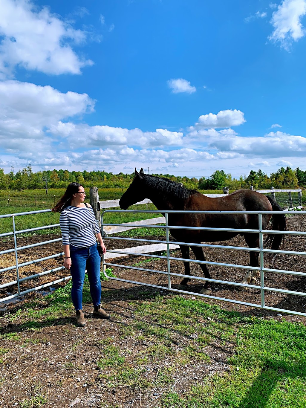 Aragon Equestrian Center | 3388 Stage Coach Rd, Harrowsmith, ON K0H 1V0, Canada | Phone: (613) 376-7679