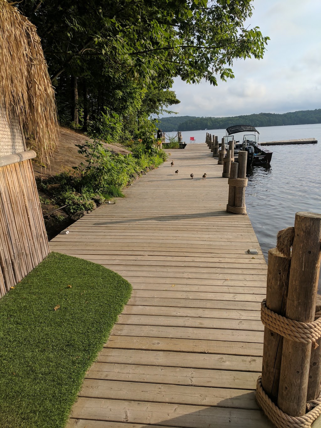 Forest Rock Resort | 1898 Windermere Rd, Utterson, ON P0B 1M0, Canada | Phone: (705) 769-3641