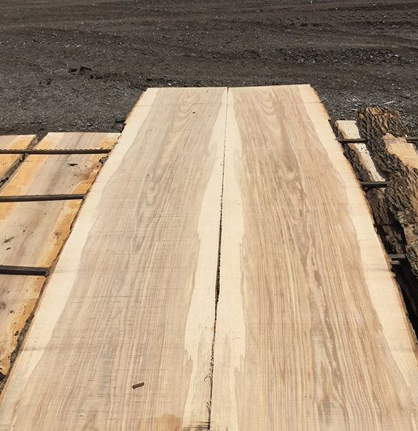 Hunter M W Lumber Ltd | 1010 Community Center Rd, Gooderham, ON K0M 1R0, Canada | Phone: (705) 447-2611