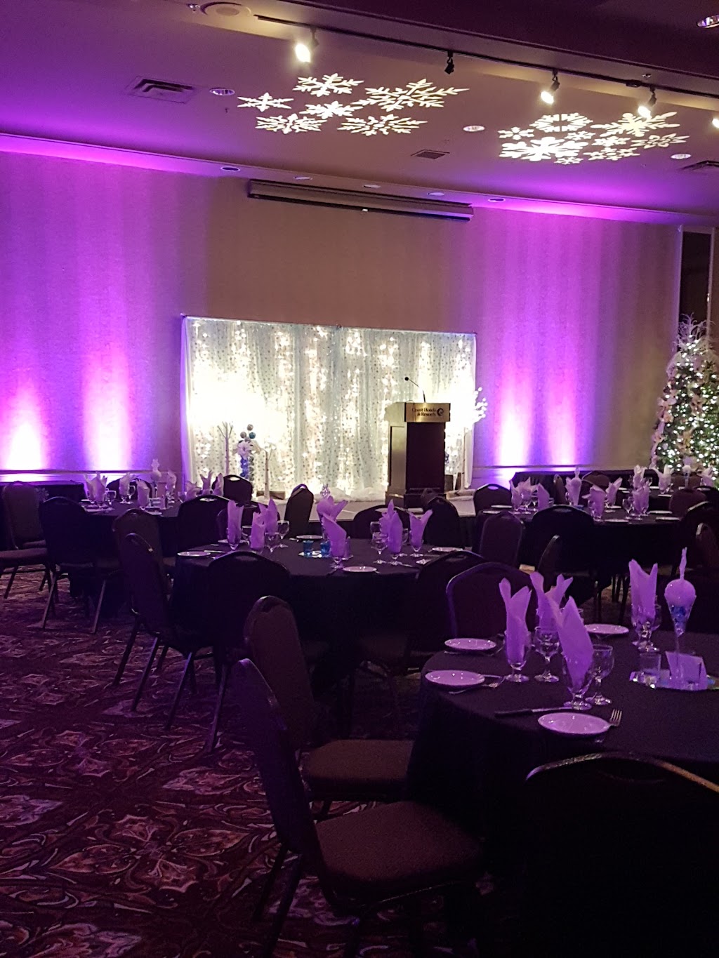 Flying Carpet Events | 20 Oakridge Dr N, St. Albert, AB T8N 6H8, Canada | Phone: (780) 990-7597