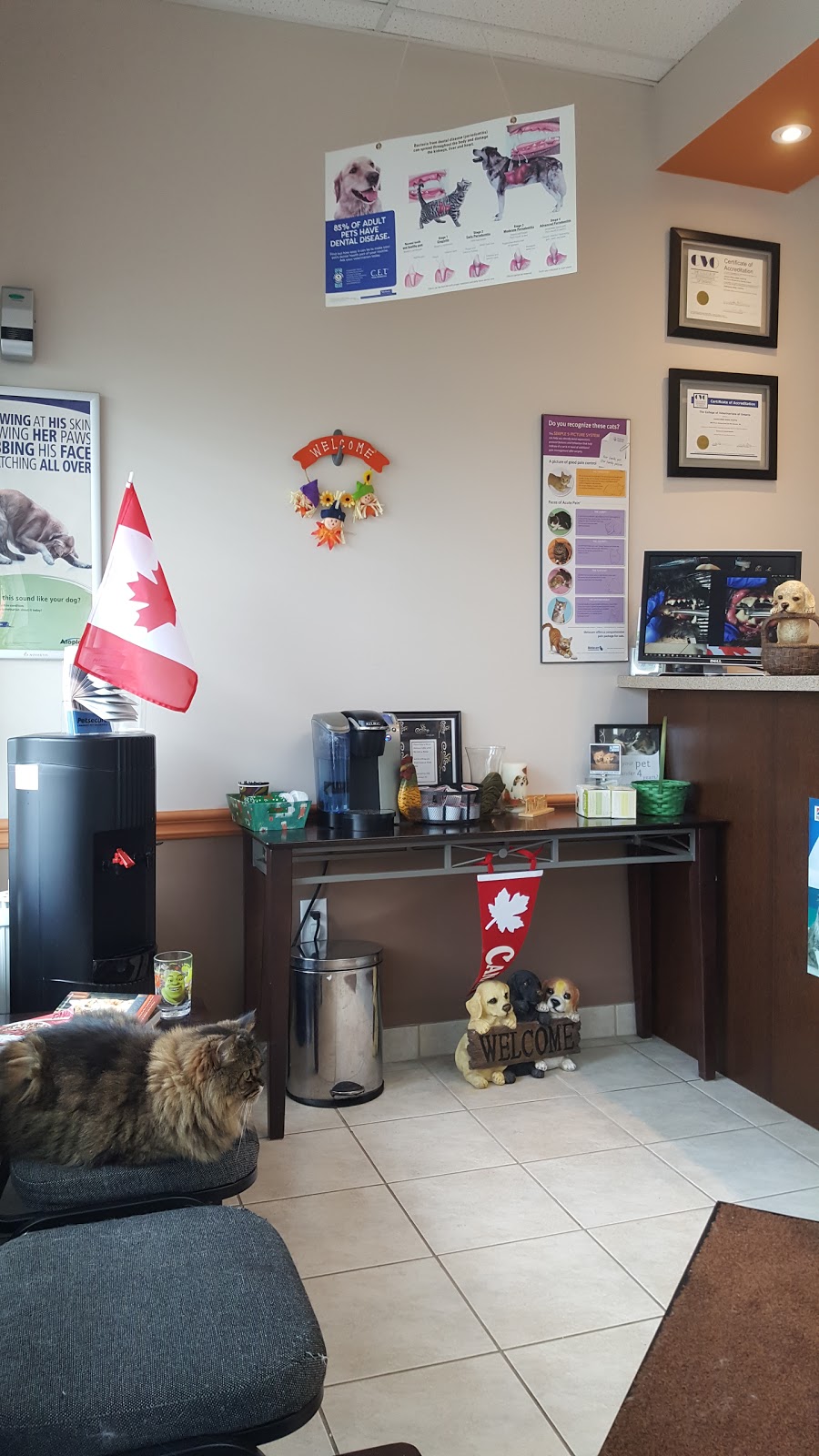 Joshua Creek Animal Hospital | 2501 Prince Michael Dr, Oakville, ON L6H 0E9, Canada | Phone: (905) 257-6630