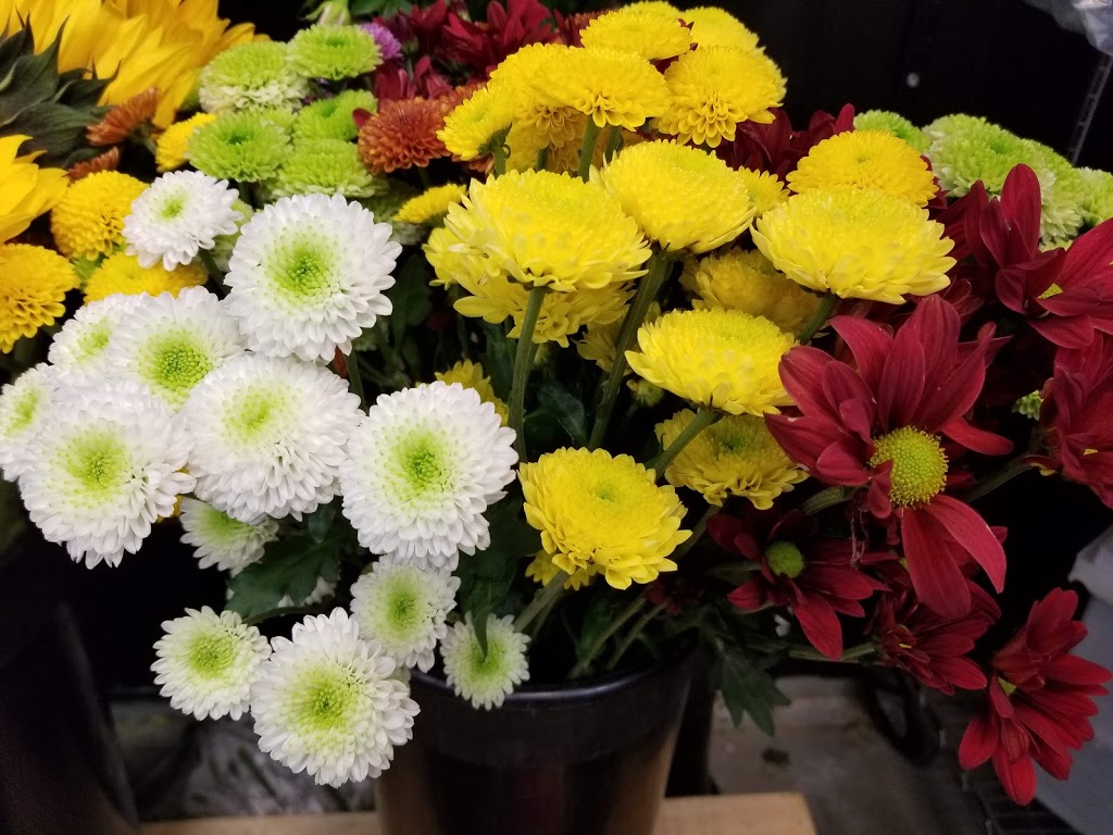 Pacific Florist | 700 Lawrence Ave W #219, North York, ON M6A 3B4, Canada | Phone: (416) 784-0888