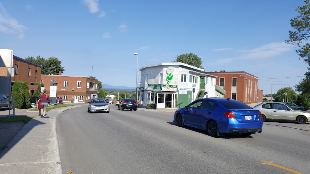 Salon Diane Aubin Fleuriste Inc., | 2135 Rue Saint-Dominique, Jonquière, QC G7X 6N1, Canada | Phone: (418) 542-8900