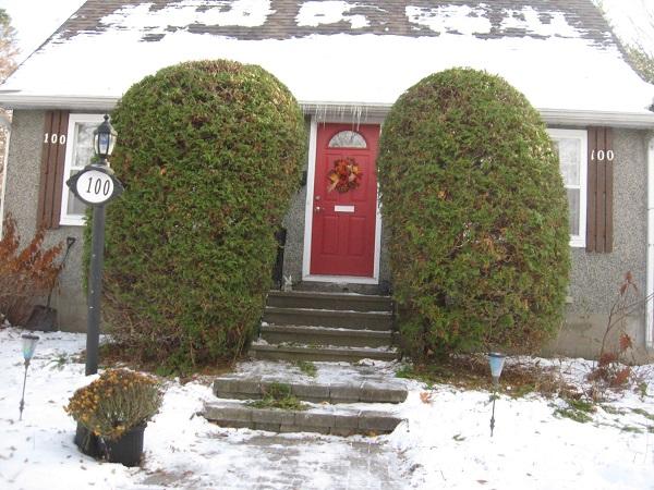 Chris Tree Service | 2408 Drury Ln, Ottawa, ON K2C 1G5, Canada | Phone: (613) 829-7548