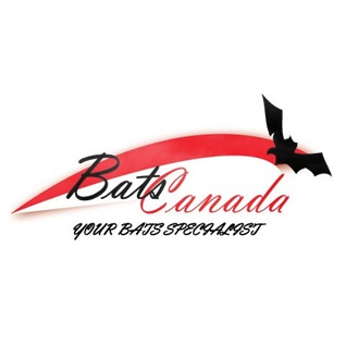 Bats Canada | 2299 Bellsmith Ct, London, ON N6M 1L6, Canada | Phone: (888) 276-5998