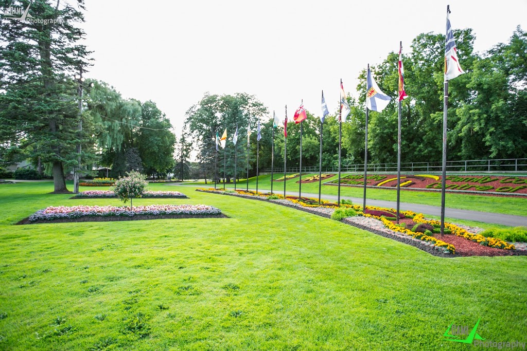 Terry Summerhays - Brantford Real Estate | 515 Park Rd N, Brantford, ON N3R 7K8, Canada | Phone: (519) 802-8770