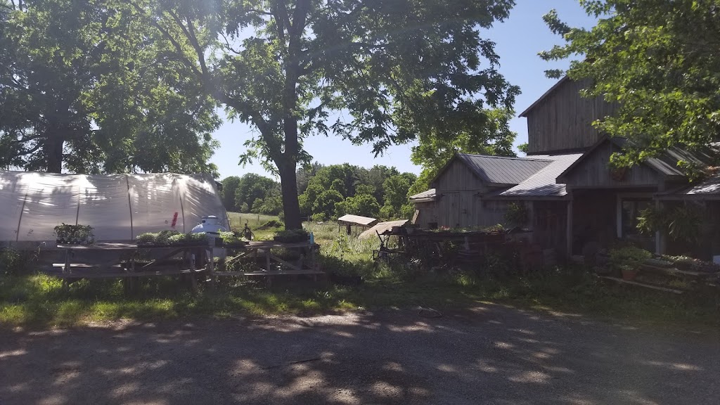 McSmiths Organic Farm | 42828 Shorlea Line, St Thomas, ON N5P 3T1, Canada | Phone: (519) 631-0279