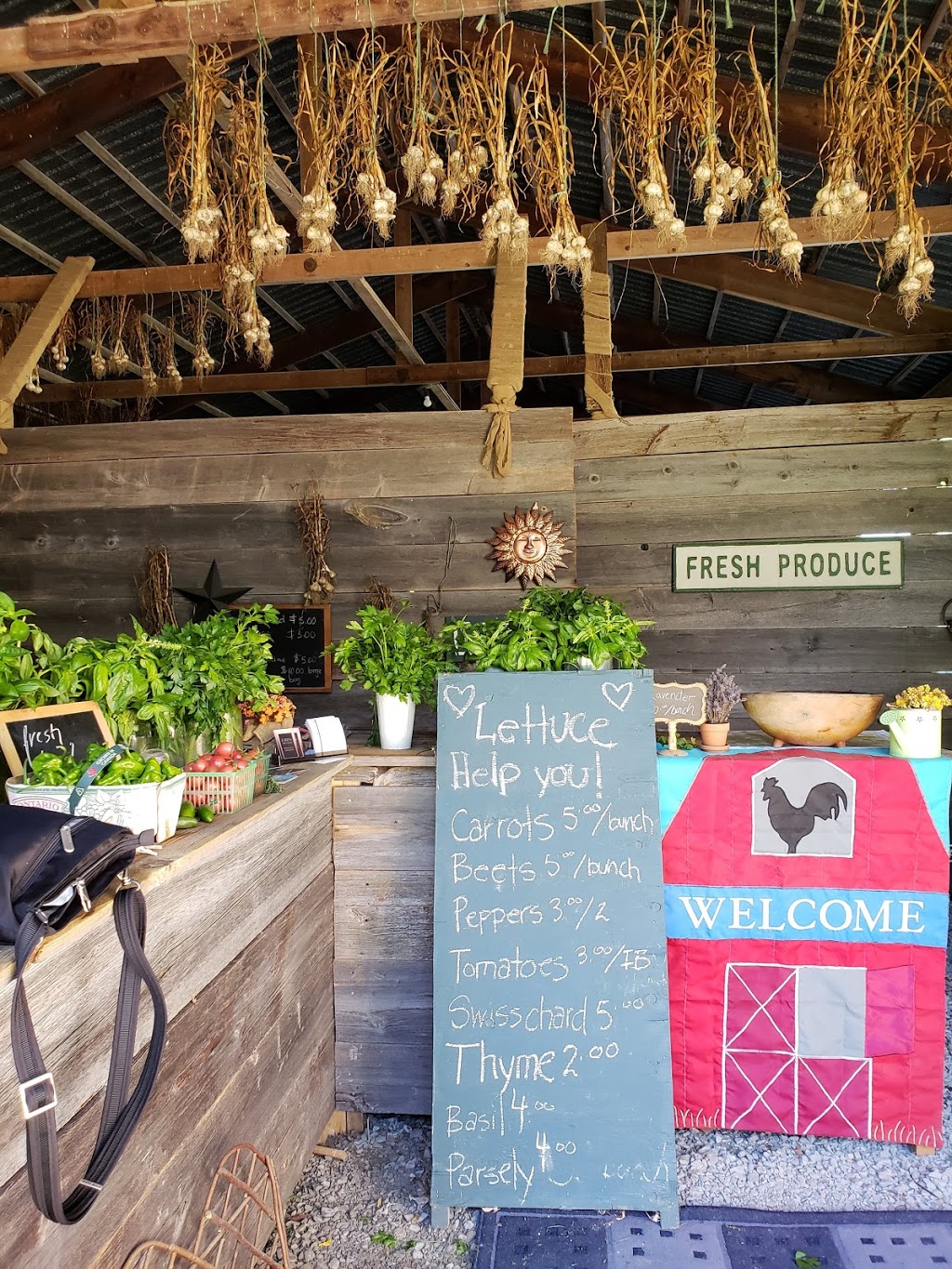 A Pretty Good Farm | 10450 Durham Regional Rd 1, Uxbridge, ON L9P 1R1, Canada | Phone: (905) 715-1412