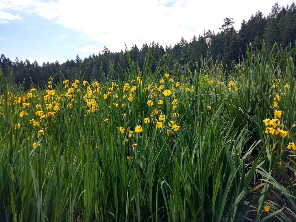 Hemer Provincial Park | Hwy 1, Nanaimo, BC V9X 1J3, Canada | Phone: (250) 474-1336