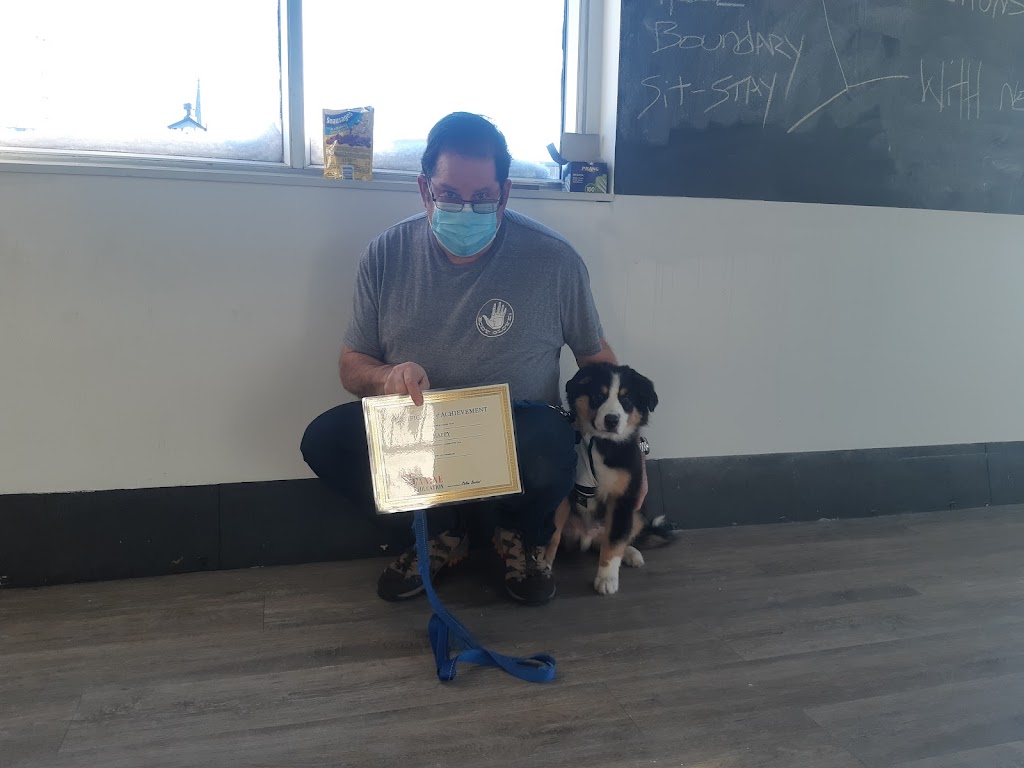 Canine Education | 298 Chem. Bord-du-Lac, Pointe-Claire, QC H9S 4L3, Canada | Phone: (514) 777-7894