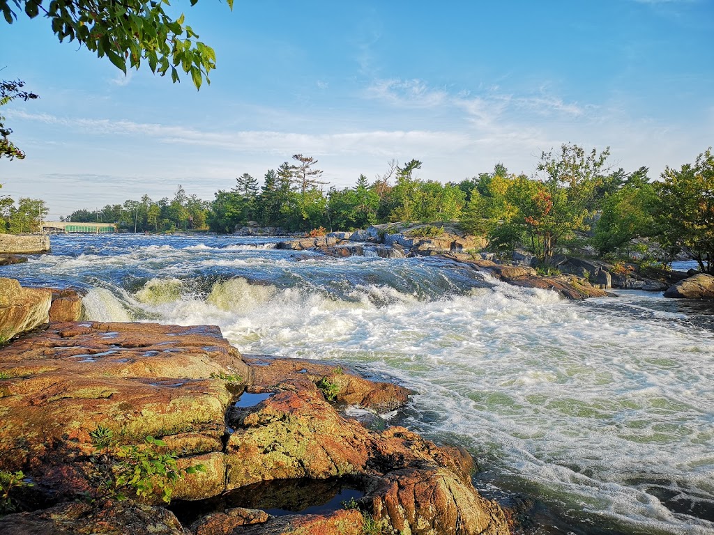 Strickers Burleigh Beach Resort | 3340 Strickers Ln, Lakefield, ON K0L 2H0, Canada | Phone: (705) 654-3547
