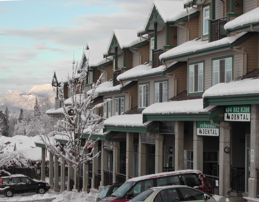 Redwoods Dental Langley | 8814 216 St, Langley City, BC V1M 2Z9, Canada | Phone: (604) 882-8280