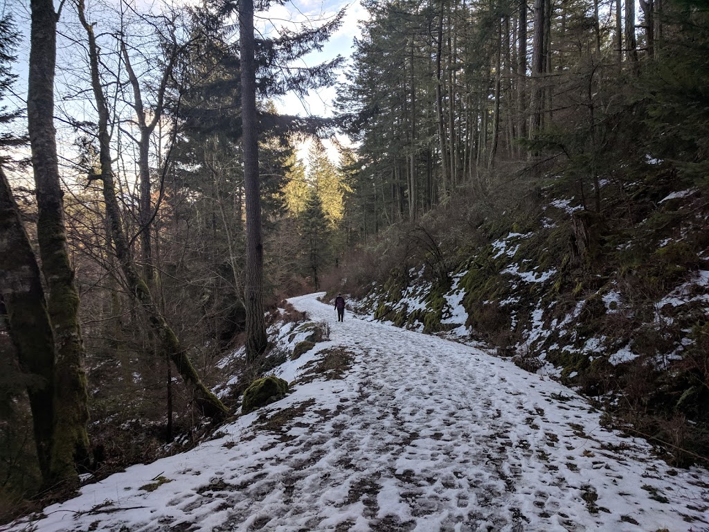 Turtleback Mountain North Trailhead | Crow Valley Rd, Eastsound, WA 98245, USA